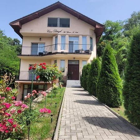 Casa Patryk Hotell Orşova Eksteriør bilde