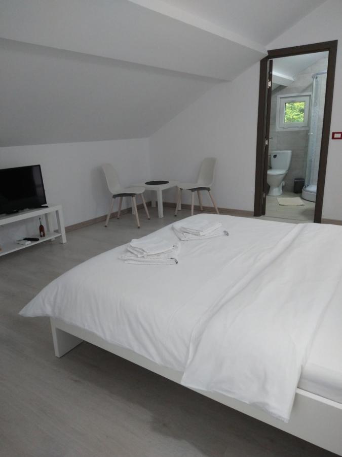 Casa Patryk Hotell Orşova Eksteriør bilde