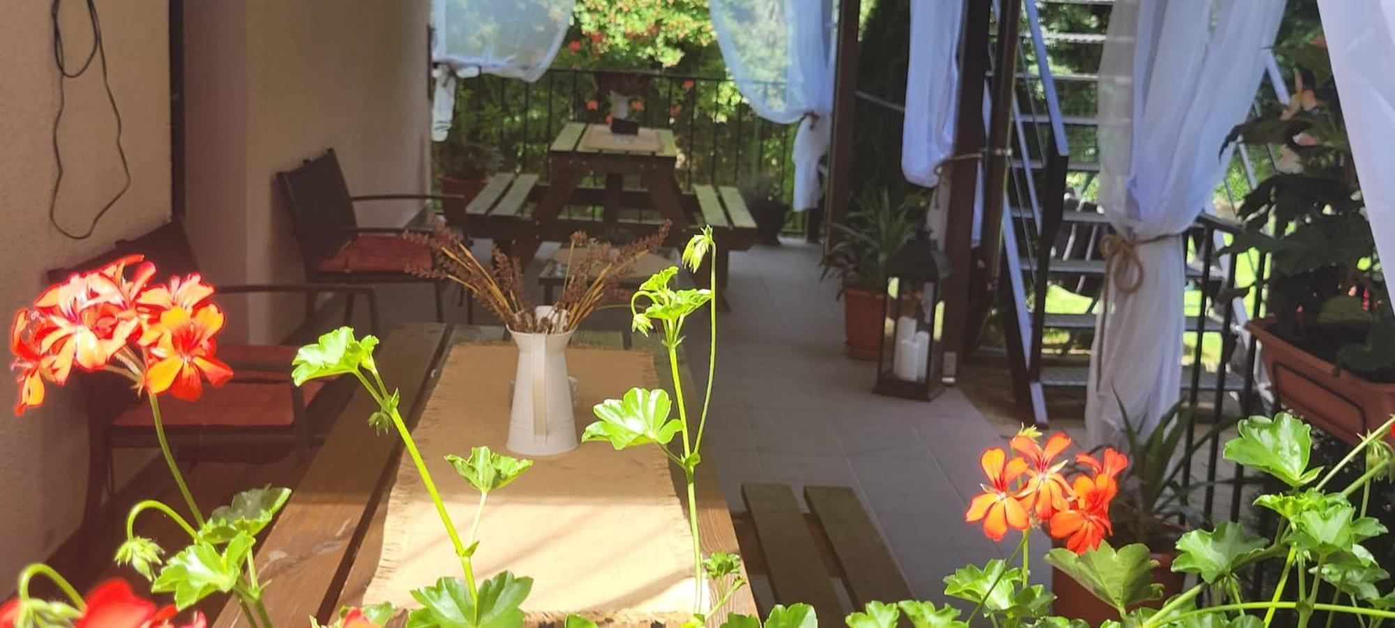 Casa Patryk Hotell Orşova Eksteriør bilde